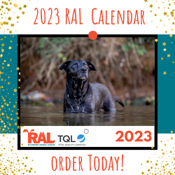 2023 RAL Calendar - WITHOUT shipping